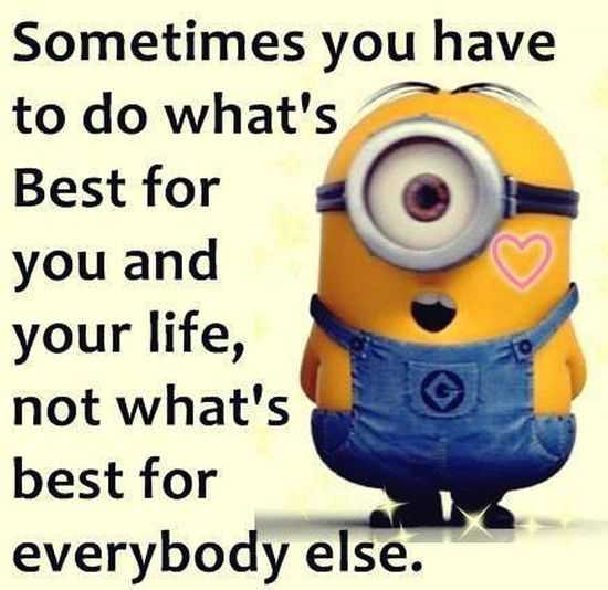 Funny Minions Pictures Of The Week