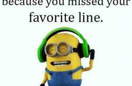 Funny New Minions Pictures 035