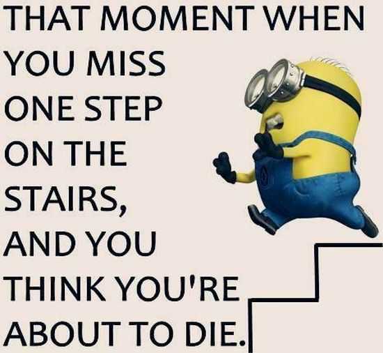 New Minion Pictures Of The Day 032