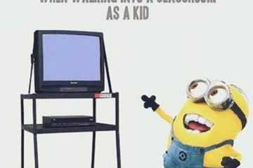 New Funny Minion Pictures And Quotes 085