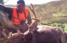 Joe Rogan'S Message For Those Against Hunting Video Featured