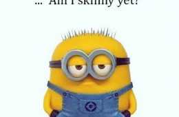 The Best Minion Pictures Of The Week 052