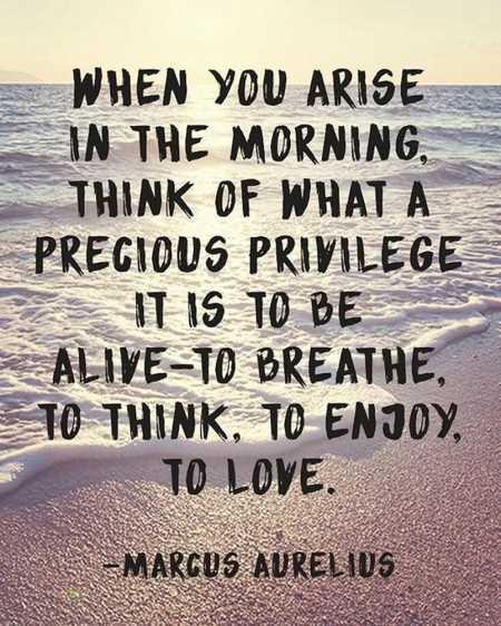 Inspirational Quotes About Life 5013