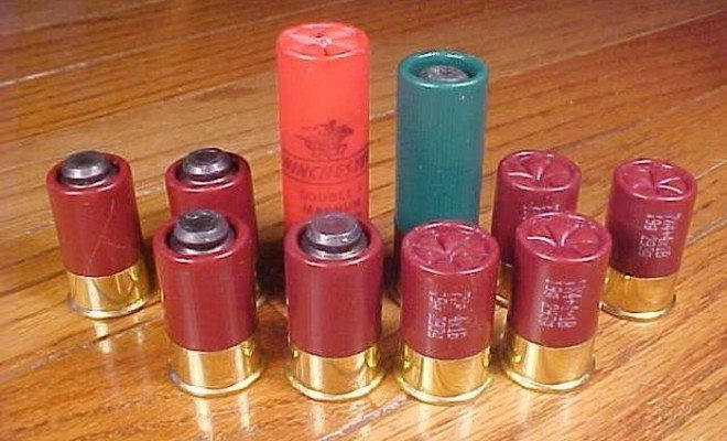 Aguila Minishell - Little Shotgun Shells