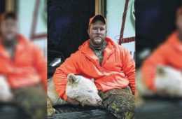 Rare Albino Bear Taken In Pennsylvania Featured
