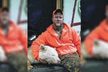 Rare Albino Bear Taken In Pennsylvania Featured