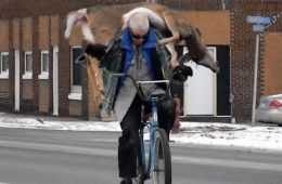 Guy Carries His Deer To The Butcher On His Bicycle Video Featured