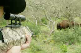Jim Shockey Takes Down A Buffalo With The New Benjamin Pioneer Airbow Featured