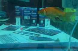 Meet The Hook Line And Threader  The Ultimate Live Bait Rig Featured 2