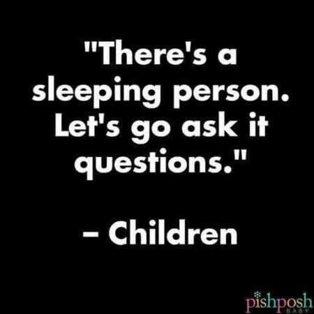 Hilarious Quotes 520
