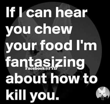 Hilarious Quotes 524