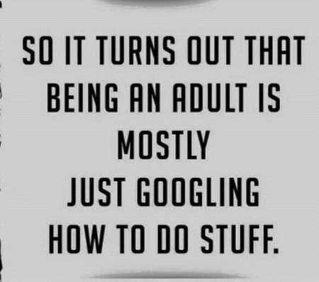 Hilarious Quotes 525