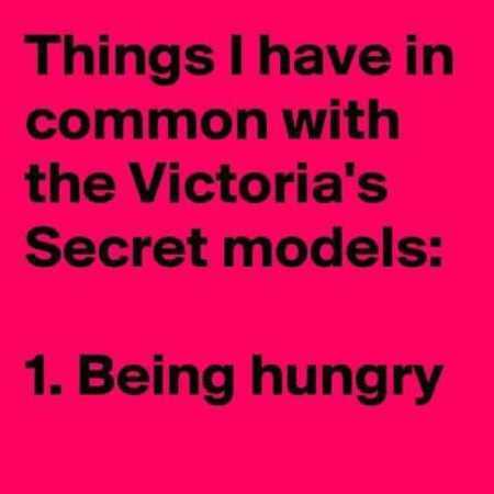 Hilarious Quotes 528