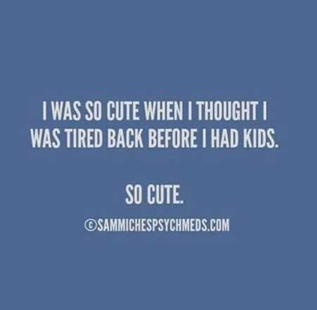 Hilarious Quotes 531