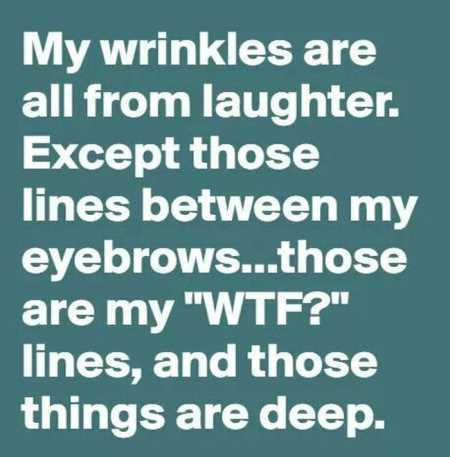 Hilarious Quotes 540