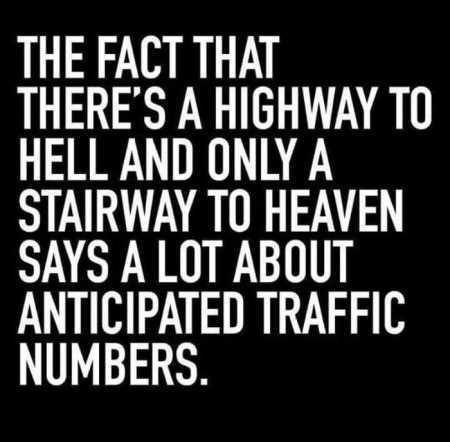 Hilarious Quotes 541