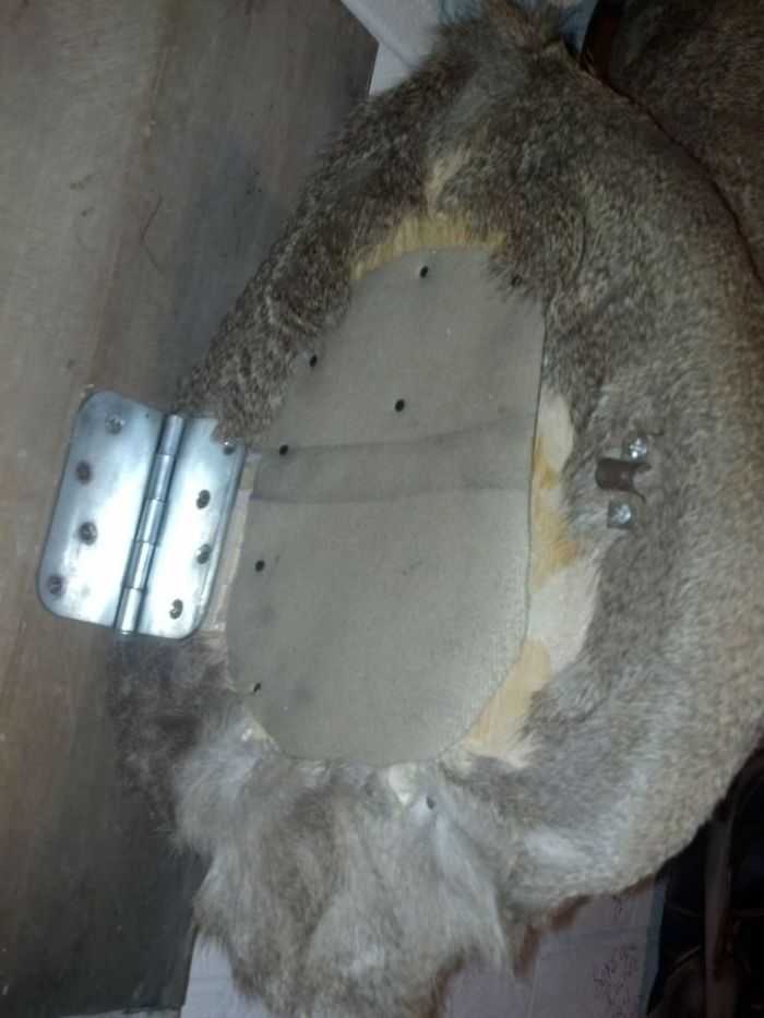 How Build A Hidden Compartment Into Your Deer Shoulder Mount pictures 007