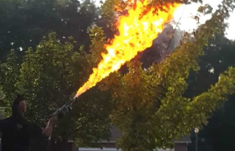 Man Uses A Flamethrower To Destroy A Huge Nest