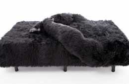 The Harambed Featured