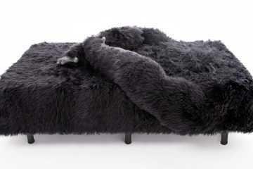 The Harambed Featured