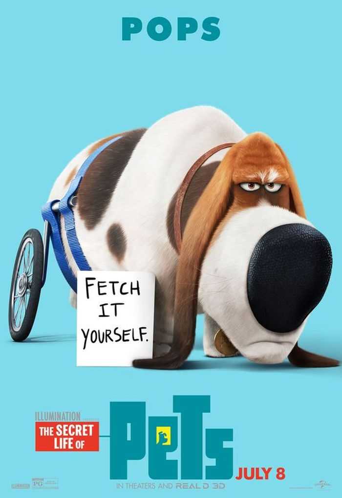 The Secret Life Of Pets  Funny Pictures And Quotes 018