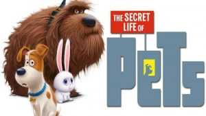 The Secret Life Of Pets  Funny Pictures And Quotes featured