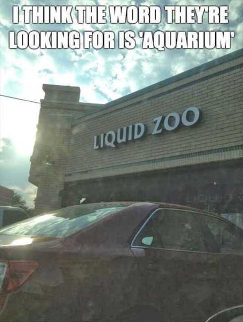 22OfTheFunniestPicturesEver008