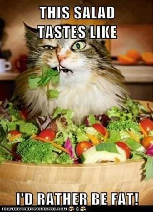 22-of-the-funniest-pictures-ever-010