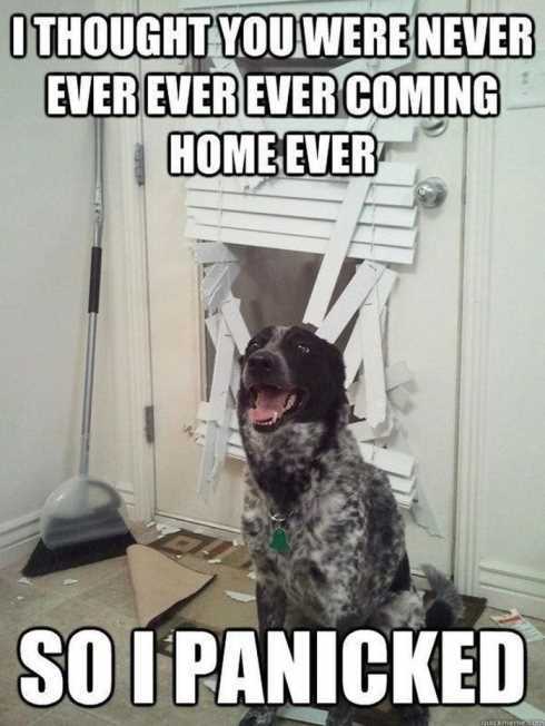 22-of-the-funniest-pictures-ever-011