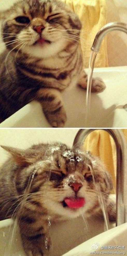 22OfTheFunniestPicturesEver017