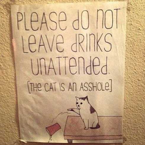 22-of-the-funniest-pictures-ever-018