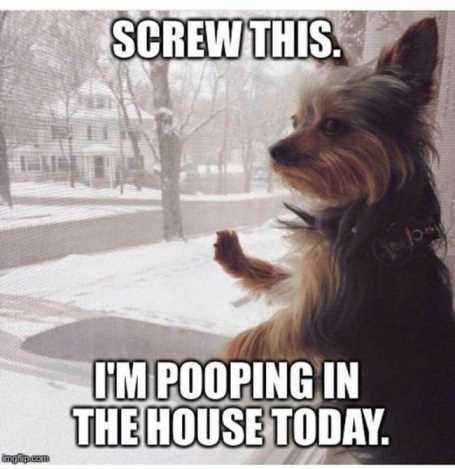26-funny-pictures-that-will-make-you-smile-004