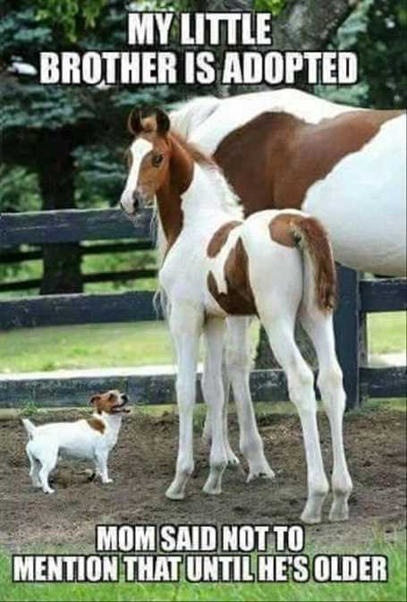 26-funny-pictures-that-will-make-you-smile-009
