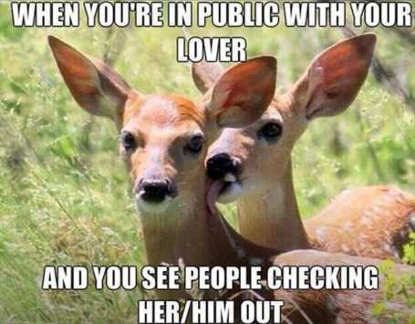 26-funny-pictures-that-will-make-you-smile-012