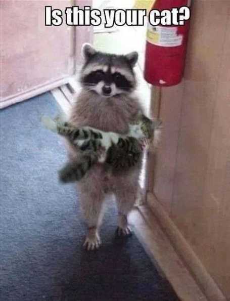 26-funny-pictures-that-will-make-you-smile-020