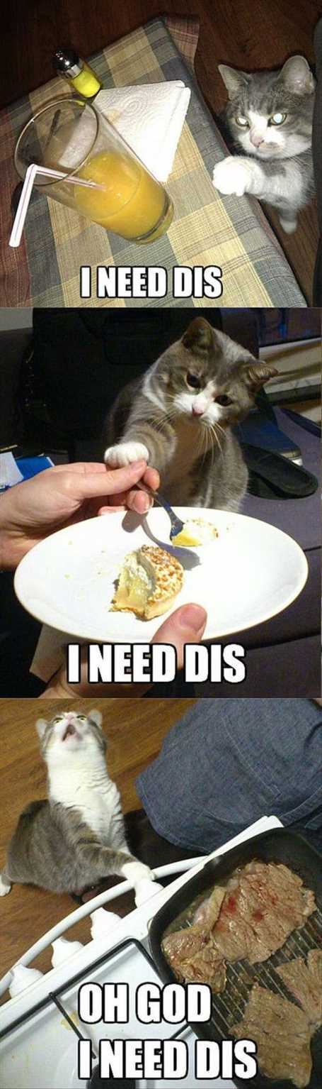 26-funny-pictures-that-will-make-you-smile-024