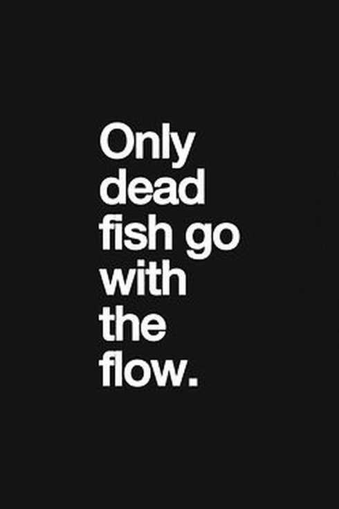 34-funny-quotes-you-will-absolutely-love-010