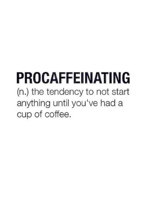 34FunnyQuotesYouWillAbsolutelyLove011