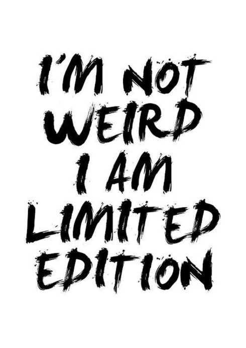 34FunnyQuotesYouWillAbsolutelyLove017