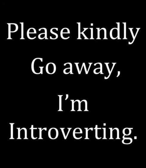 34FunnyQuotesYouWillAbsolutelyLove023