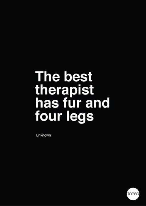 34FunnyQuotesYouWillAbsolutelyLove033