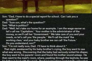 Hilarious Jokes And Short Stories 510