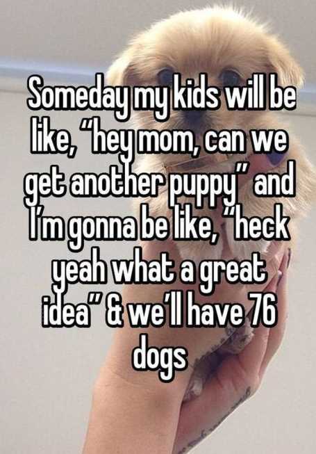 kids-want-another-puppy