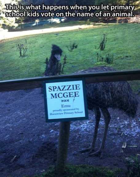 when-kids-pick-the-name-of-animals