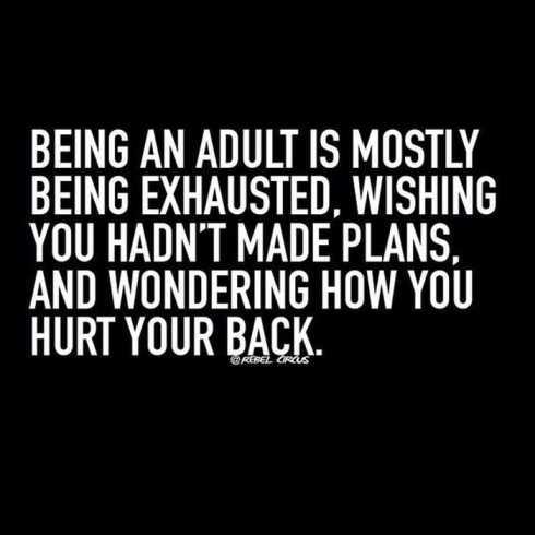 Extremely Funny Quotes 014