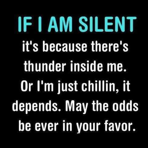 Extremely Funny Quotes 028