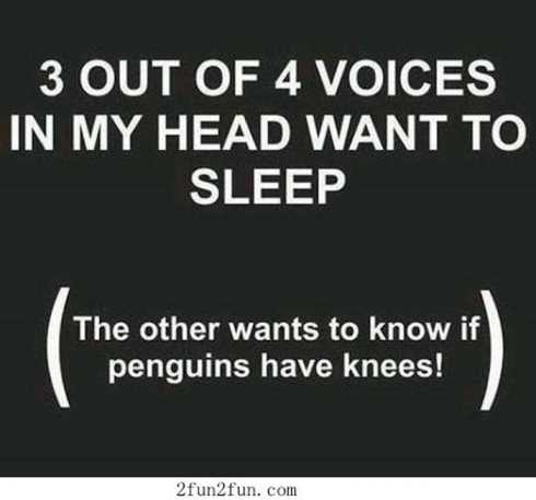 funniest-quotes-ever-007