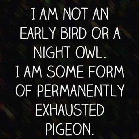 funniest-quotes-ever-013