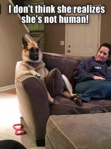 Funny Animal Pictures Youre Going To Love 036