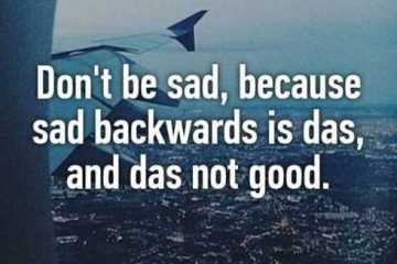 Funny Quotes Sure To Make You Smile